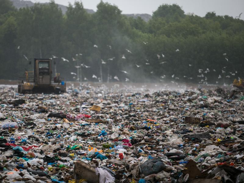 На вебинаре «Мусорная революция» обсудят проблему отходов в стране