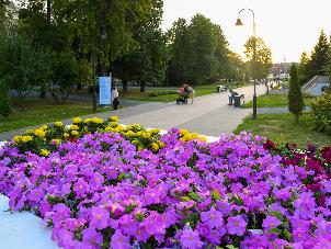 21 мая в парке «Черное озеро» пройдет цветочный своп