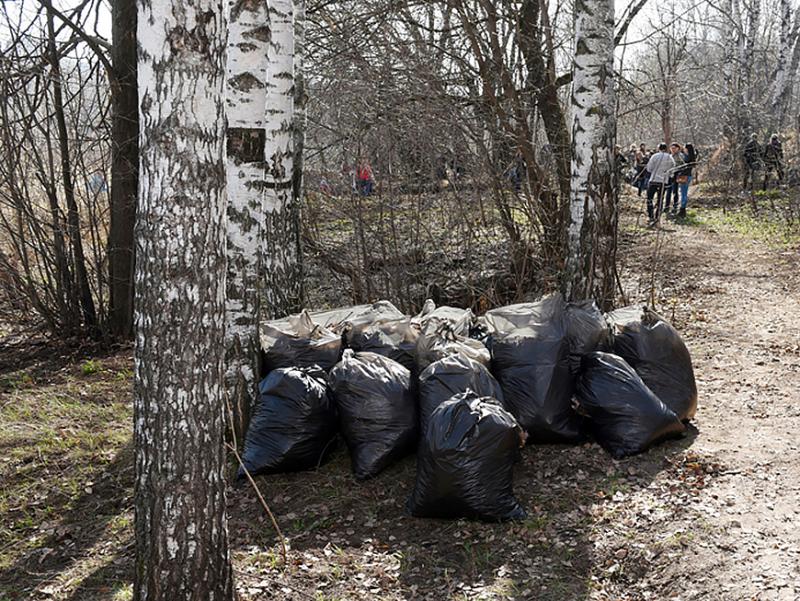 Активисты очистят от мусора прибрежную зону реки Казанки