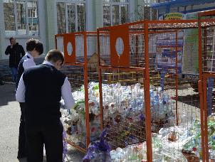 Более 500 казанских школьников приняли участие в акции «Охотник за пластиком»