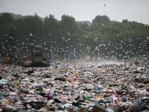 На вебинаре «Мусорная революция» обсудят проблему отходов в стране